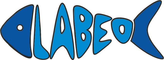Labeo